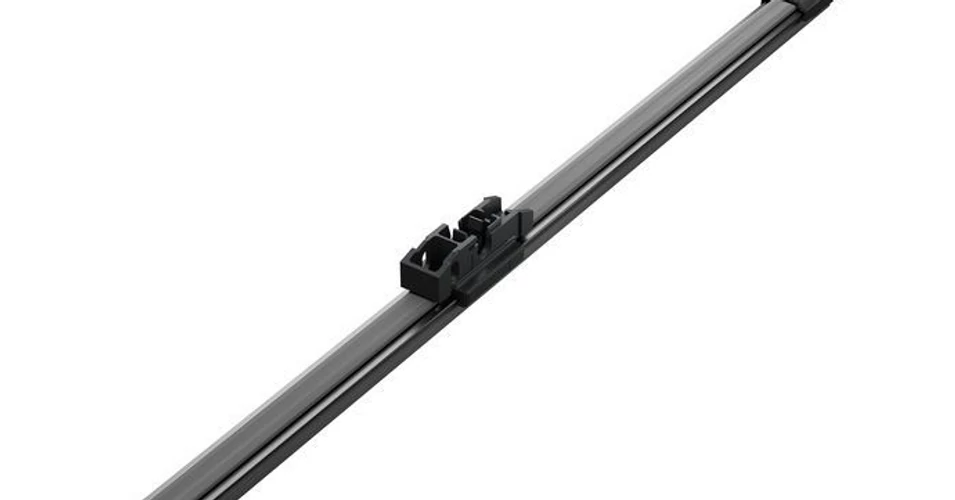 bfsbolt5120792
