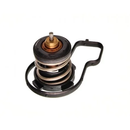 motone-15124452