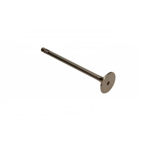 motone-15214176