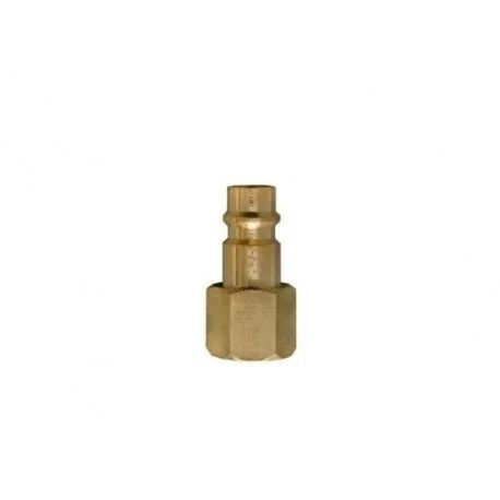 motone-15289382