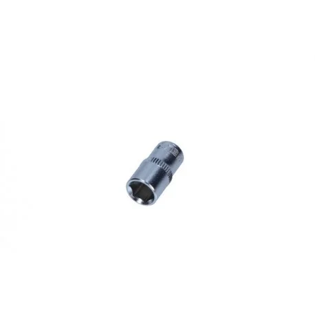 motone-15543729