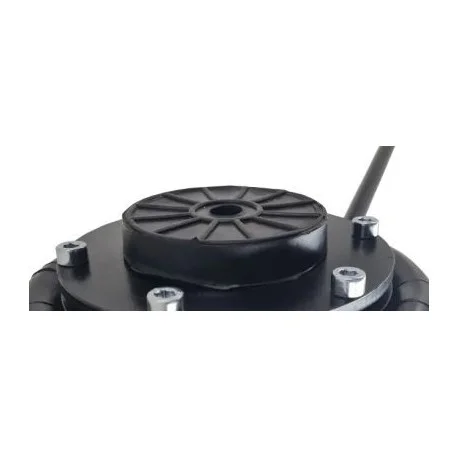 motone-15586498
