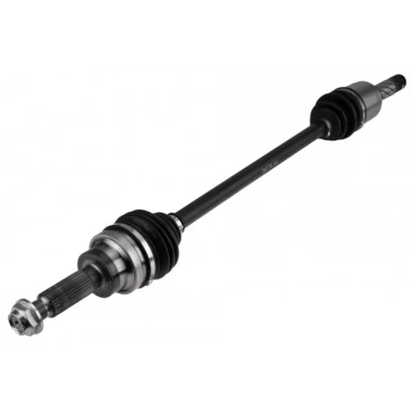 motone-15694387