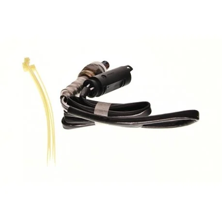 motone-15795305