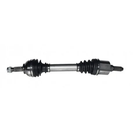 motone-15828480