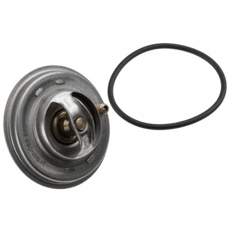 motone-15878574
