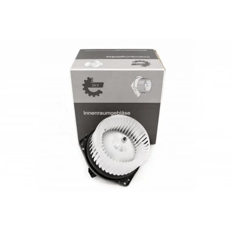 motone-15916669