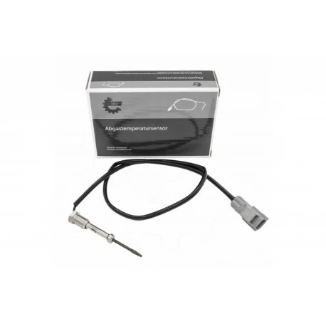 motone-24990605