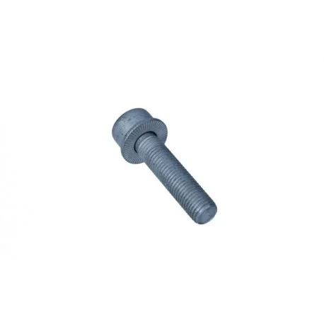 motone-25066477