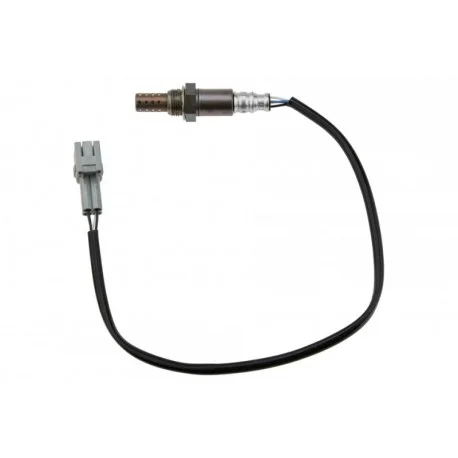 motone-25307943