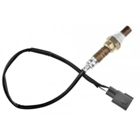 motone-25315780
