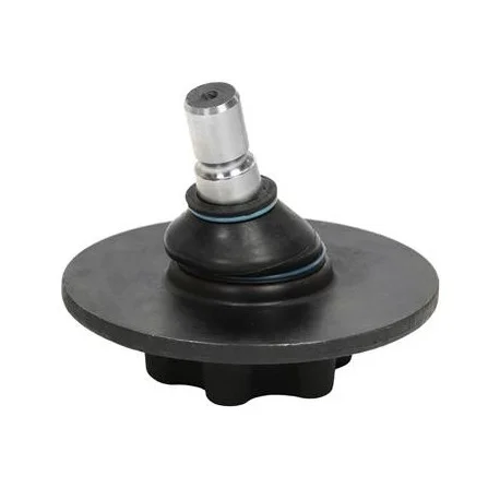 motone-25491631