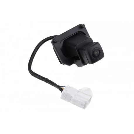 motone-25649221