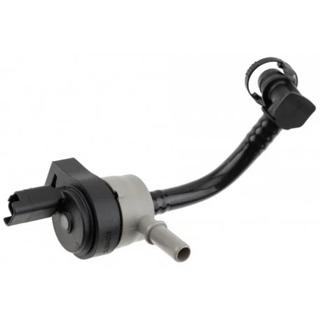 motone-25681516