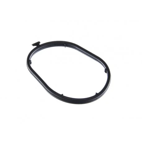 motone-25698573