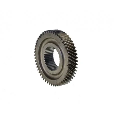 motone-25699370