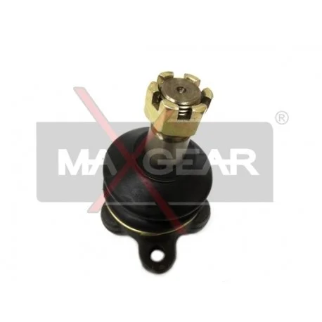 motone-35291069