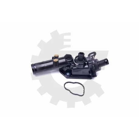 motone-35435325