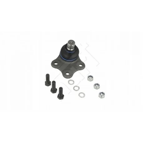 motone-35516971