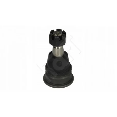 motone-35517906