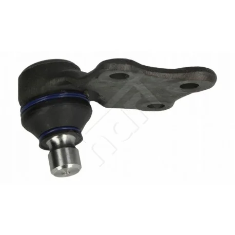 motone-35519285