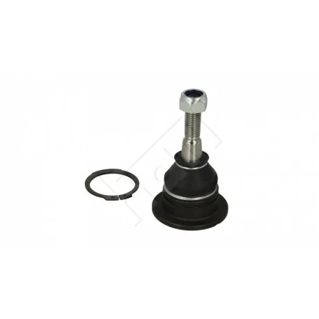motone-35525396