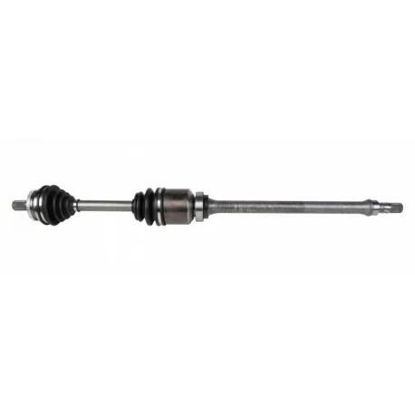 motone-35629618