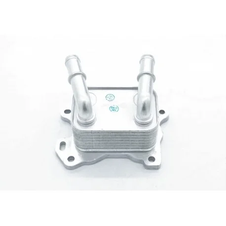 motone-35749613