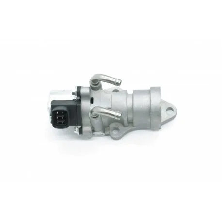 motone-35749818