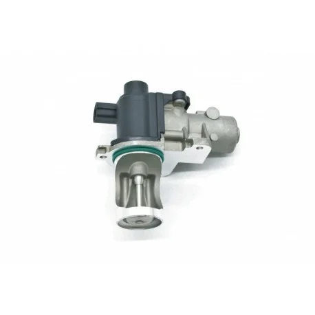 motone-35756871