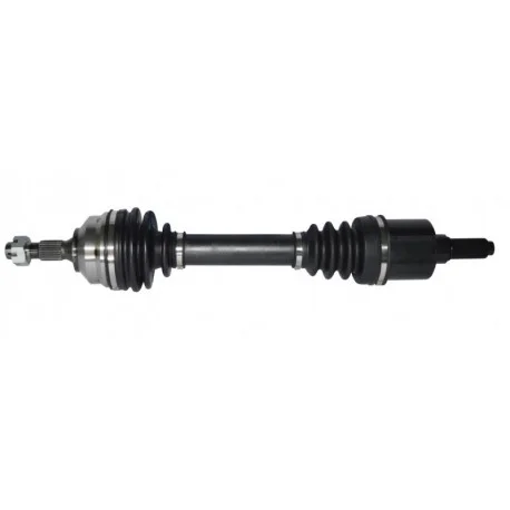 motone-35762040