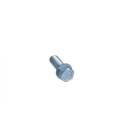 motone-35837971