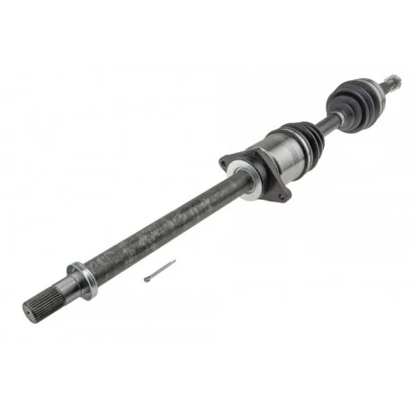 motone-35930525