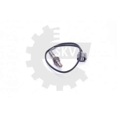 motone-35934746