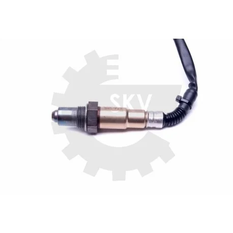motone-35935421