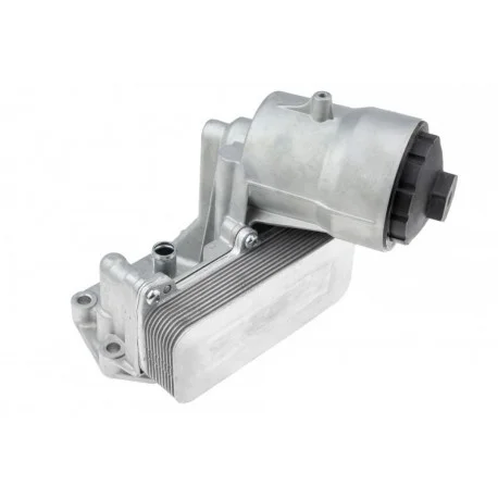 motone-36007157