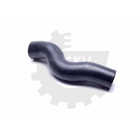 motone-36036466
