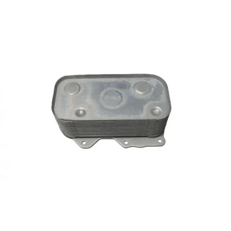 motone-36284275