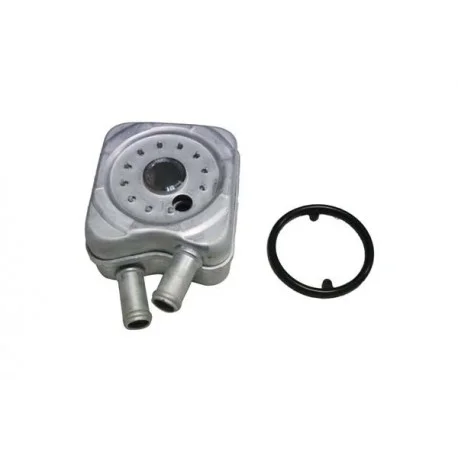 motone-36284599