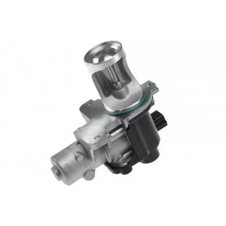 motone4966930