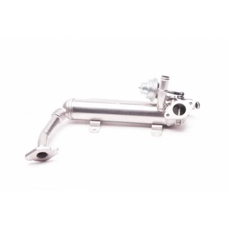motone4968231