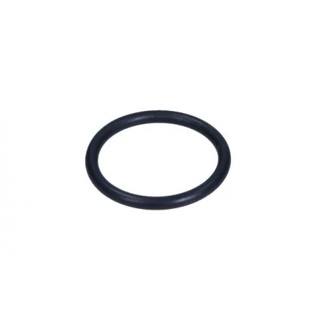 motone5485332