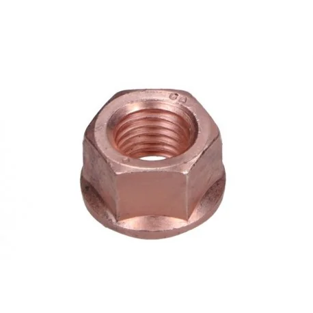 motone5490469