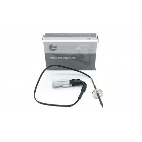motone5549622