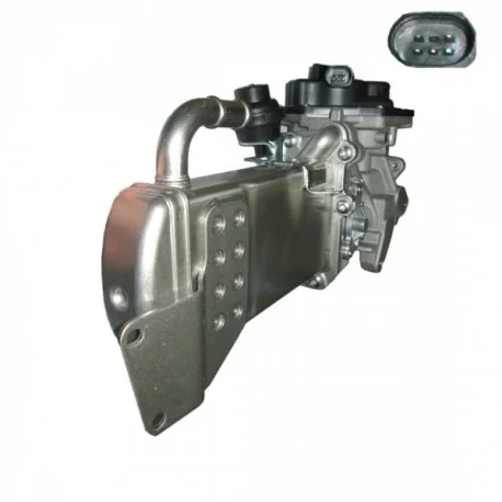 motone5681793