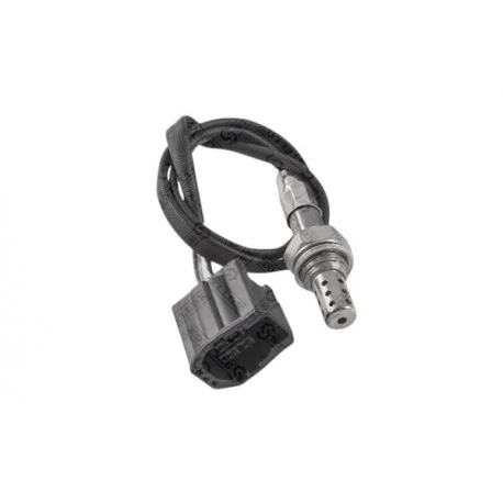 motone5889763