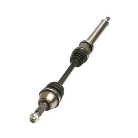 motone6087837