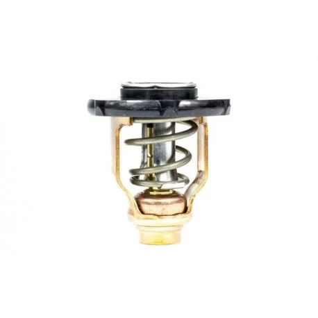 motone6179368